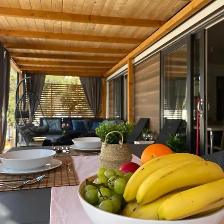 Mobile Jana 营地 *